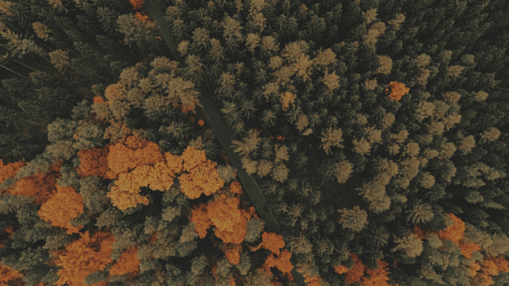 The Constancy of Change Part 1