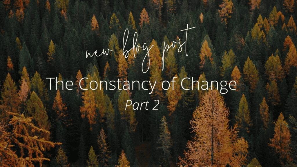 The Constancy of Change Part 2