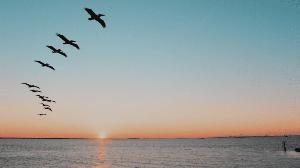 God's Value for Freedom Part 2