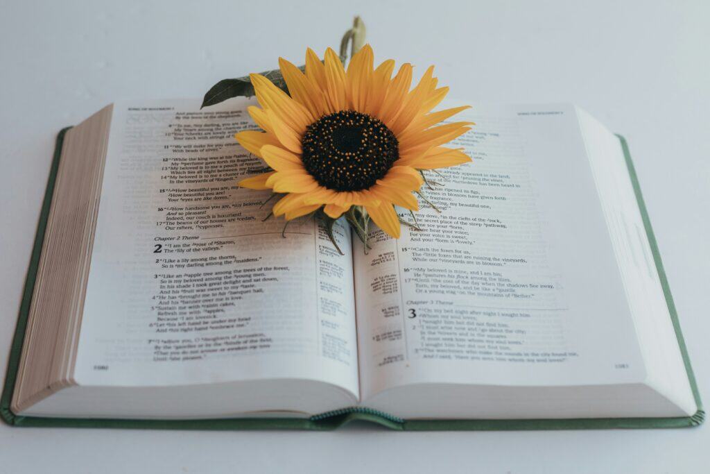 bible verses on perseverance