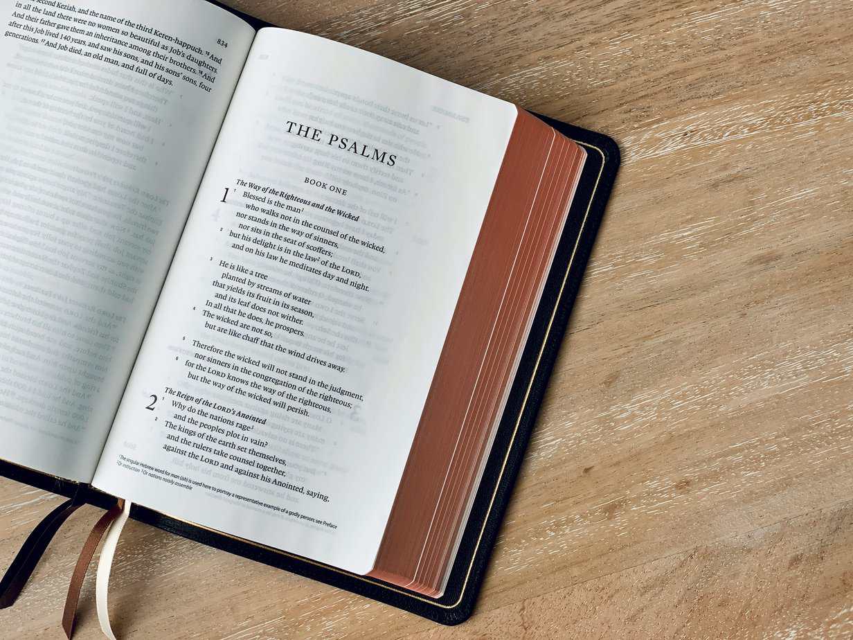 Obedience and Sacrifice